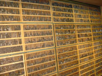 �̉������������������B