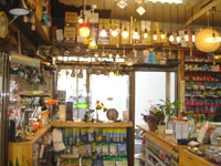 �X�|�b�g���C�g��_�E�����C�g�A�n���Q���������Ă܂��B