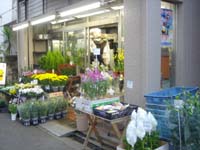 ������c���̎�ނ��L�x�ł��B�����ł��B