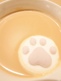 �˂��D���ɂ͂��܂�Ȃ��l�C�̓����}�V���}���e�B�[