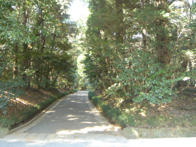 �_�{�́A�e���̏�