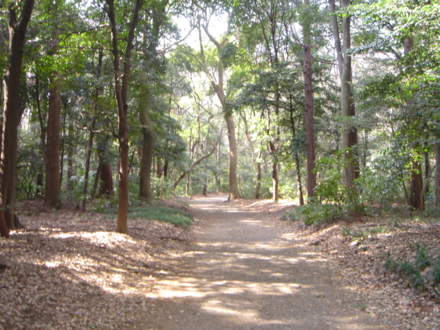 �������ߏ���