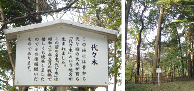 ��X�؂̞��̖�